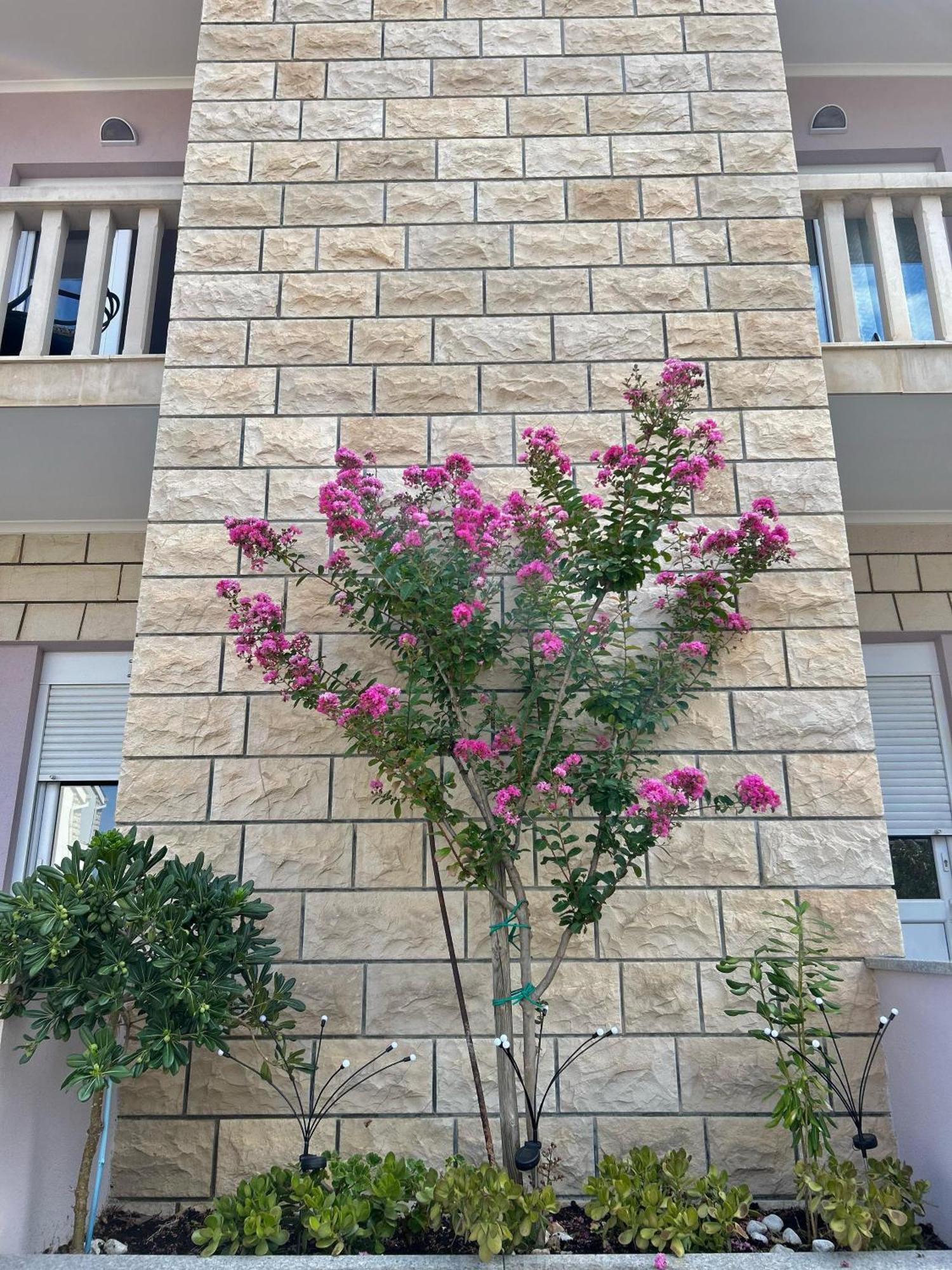 Olea Apartmán